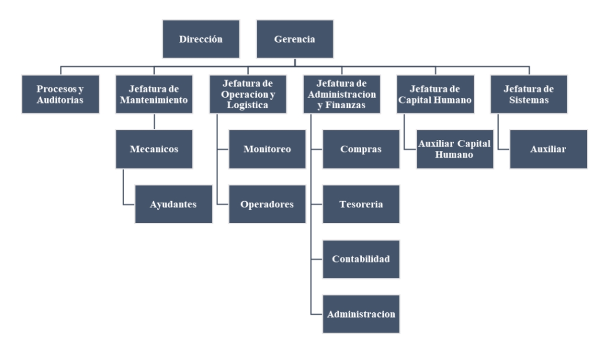 organigrama transportadora cardinal